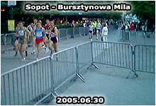 Bieg Bursztynowa Mila